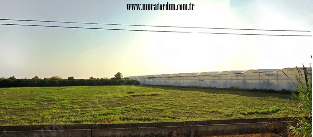 Taşağıl Mah. Manavgat Satılık Ticari + Konut Arsası |  68000M2 275.000.000Tl İmarlı  Resim-3