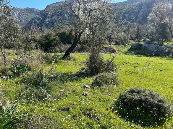 Bozburun Mah. Marmaris Satılık Tarla |  254M2 1.550.000Tl Resim-5