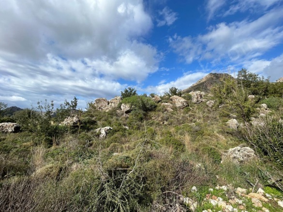 Bozburun Mah. Marmaris Satılık Tarla |  312M2 2.500.000Tl Resim-2