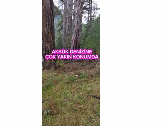 Muğla Menteşe Sarnıç Ta 3 5 Dölüm Yatırıma Uygun Satilik Satılık Tarla Mah