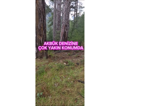 Sarnıç Mah. Menteşe Satılık Tarla |  3500M2 1.600.000Tl Resim-2