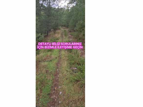 Muğla Menteşe Sarnıç Ta 3 5 Dölüm Yatırıma Uygun Satilik Satılık Tarla Mah