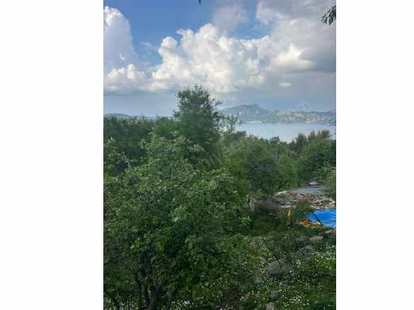 Marmaris Selimiye De 2308 M2 imarli Satilik Satılık Tarla Mah