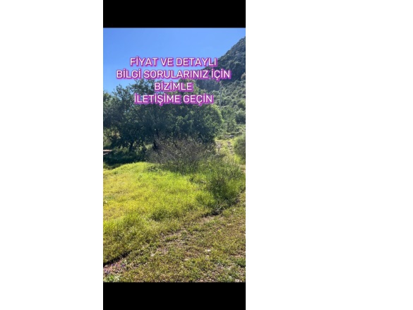 Selimiye Mah. Marmaris Satılık Müstakil Ev |  2+1 Oda | 66M2 12.500.000Tl | Yüksek Giriş | Soba | 1 Banyo | 2 Yatak Odası Resim-3