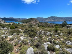 Marmaris Selimiye Mah. Satılık Tarla 9553 M2