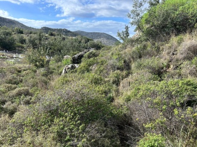 Marmaris Bozburun Da Yol Cepheli Satilik Satılık Tarla Mah Lider Emlak Selimiye