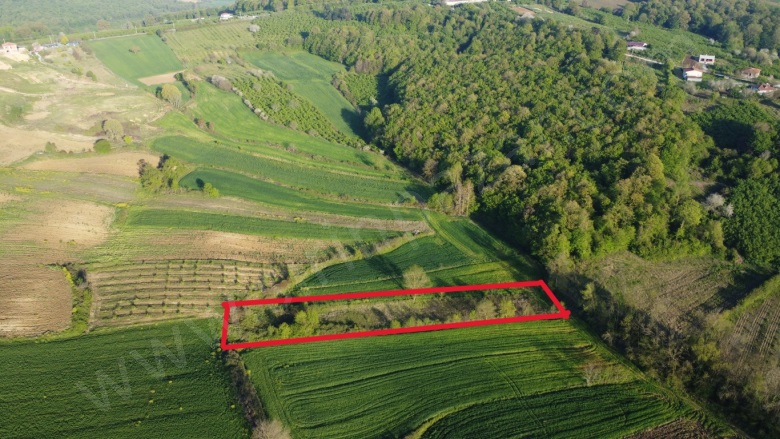 Özbey Mah. Kandıra Satılık Parsel |  2186M2 1.650.000Tl Resim-1