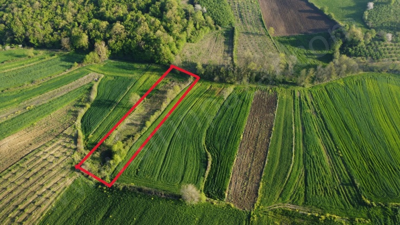 Özbey Mah. Kandıra Satılık Parsel |  2186M2 1.650.000Tl Resim-2