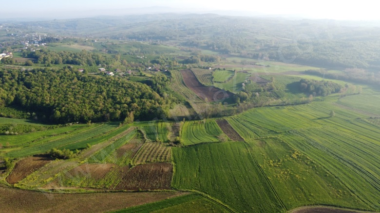 Özbey Mah. Kandıra Satılık Parsel |  2186M2 1.650.000Tl Resim-5