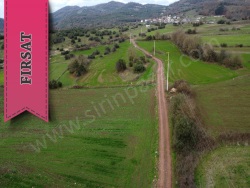 Kandıra Babaköy Mah. Satılık Tarla 3010 M2