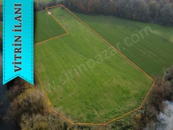 Kandıra Kızılcapınar Mah. Satılık Arsa 10925 M2