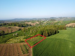 Kandıra Özbey Mah. Satılık 2B 2355 M2