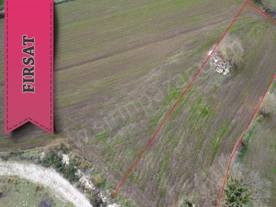 Kandıra Babaköy Mah Satılık Tarla Kadastro Yolu Olan 1676 M² Parsel