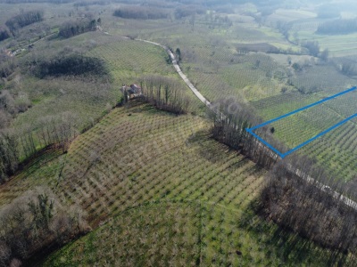 Kandıra Hediyeli Mah Satılık Arsa