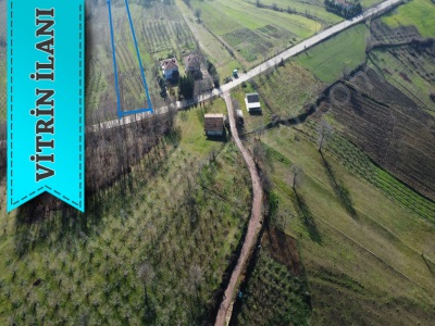 Kandıra Hediyeli Mah 3853 M² Asfalt Yol + %5 İmar Satılık Arsa