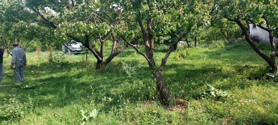 Aşağı Kümbet Mah. Kağızman Satılık Bağ |  14000M2 18.000.000Tl İmarlı  Resim-1