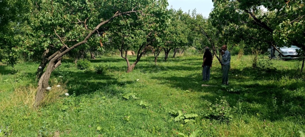 Aşağı Kümbet Mah. Kağızman Satılık Bağ |  14000M2 18.000.000Tl İmarlı  Resim-2