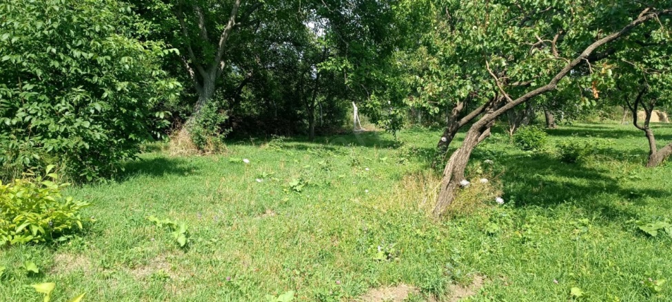 Aşağı Kümbet Mah. Kağızman Satılık Bağ |  14000M2 18.000.000Tl İmarlı  Resim-5