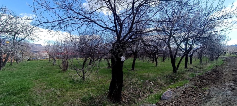 Toprakkale Mah. Kağızman Satılık Arsa |  2501M2 5.000.000Tl İmarlı  Resim-5