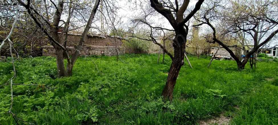 Satılık Bağ 501 Merte Kare Bahçe Kars Kağızman Şahindere Mah
