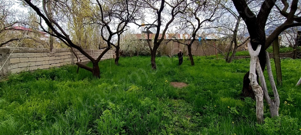 Şahindere Mah. Kağızman Satılık Bağ |  501M2 4.000Tl İmarlı  Resim-5