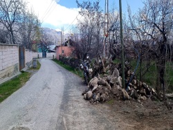 Kağızman Toprakkale Mah. Satılık Arsa 2501 M2