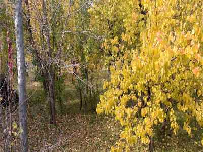  Mieten In  Türkei, Kars, Kagizman, Asagi Kumbet Str. , 3500 m2