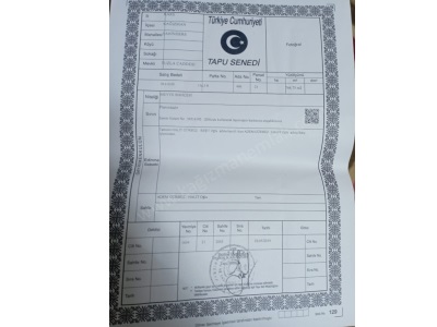 Satılık Müstakil Ev Üç Takım Ahır Bahçe Kağızman Şahindere Mah