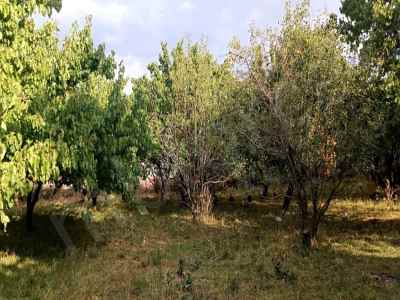  For Sale in  Turkey, Kars, Kagizman, Sahindere neighborhood , 1080 m2