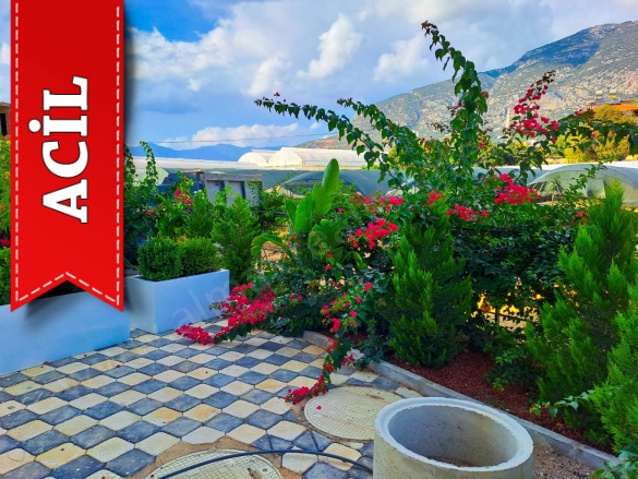 Mahmutlar Mah. Alanya Acil Satılık Daire |  1+1 Oda | 50M2 55.000€  Krediye Uygun  | 3. Kat | Klima | 1 Banyo | 1 Yatak Odası Resim-4