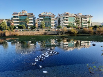 Alanya Kestel De Kıralık Full Eşyalı Komplex Site İçii Özel Eşyelı 1+1 Kiralık Daire Mah