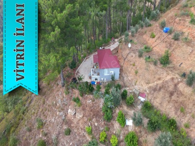 Alanya Dimçayı Da Satılık Tarla 2 400 M2 1+1 Ev Var İçinde Gümüşkavak Mah