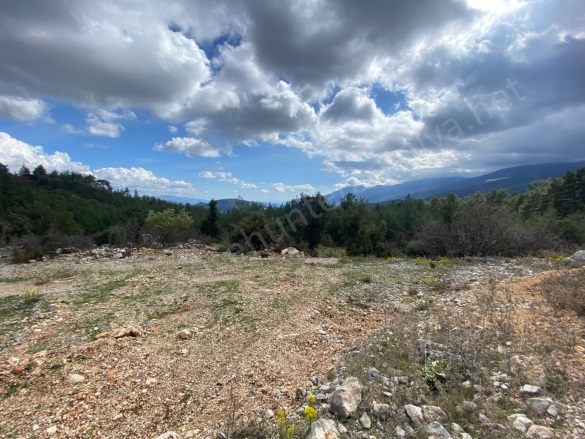 Karacaören Mah. Kumluca Satılık Tarla |  236M2 260.000Tl Resim-2