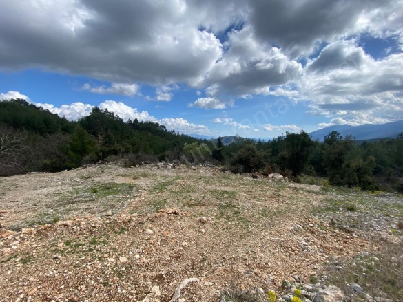 Karacaören Mah. Kumluca Satılık Tarla |  236M2 260.000Tl Resim-3