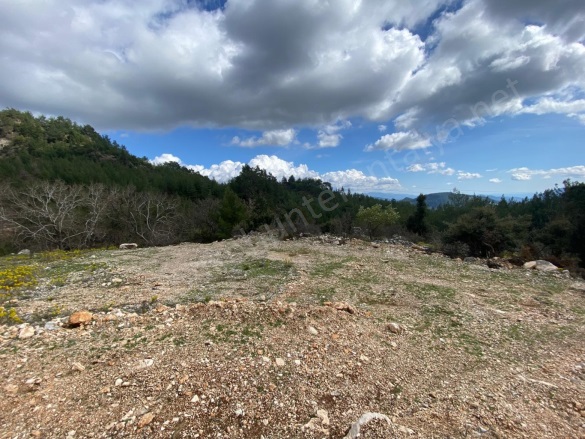 Karacaören Mah. Kumluca Satılık Tarla |  236M2 260.000Tl Resim-4