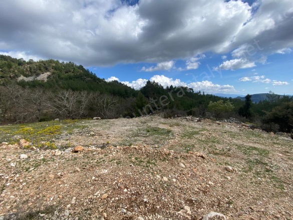 Karacaören Mah. Kumluca Satılık Tarla |  236M2 260.000Tl Resim-5