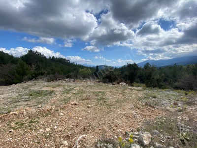 Kumluca Karacaören De Asfalt Yola Cephe Manzaralı Satılık Tarla Mah