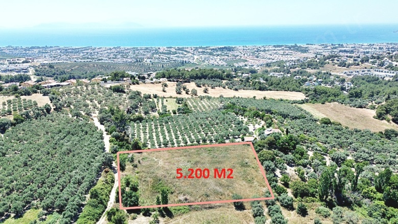 Soğucak Mah. Kuşadası Satılık Kat Karşılığı Arsa |  5200M2 52.500.000Tl İmarlı  Resim-1