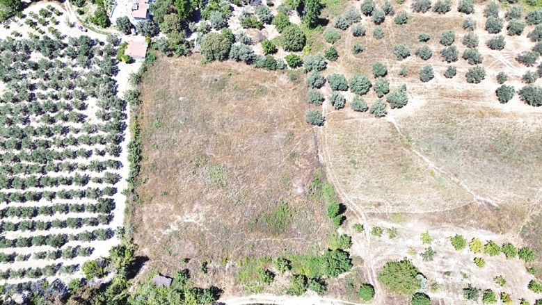 Soğucak Mah. Kuşadası Satılık Kat Karşılığı Arsa |  5200M2 52.500.000Tl İmarlı  Resim-3