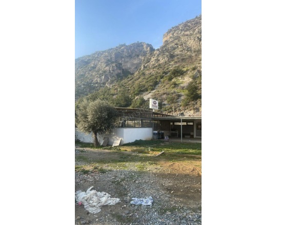 Fevzipaşa Mah. Söke Devren İşyeri |  16000M2 2.800.000Tl Resim-4