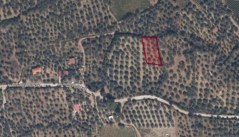 Gökçealan Mah. Selçuk Satılık Arazi |  1221M2 2.300.000Tl Resim-1