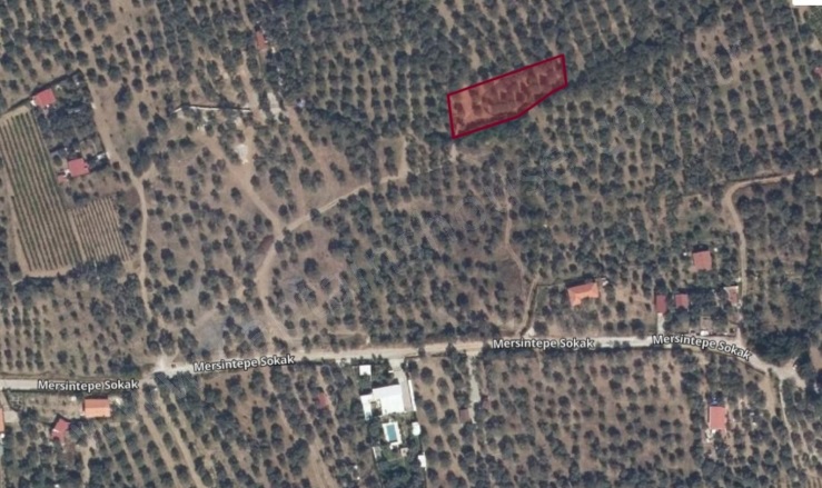 Gökçealan Mah. Selçuk Satılık Arazi |  1322M2 2.350.000Tl Resim-1