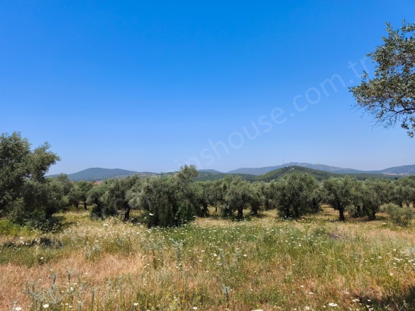 Gökçealan Mah. Selçuk Satılık Arazi |  1322M2 2.350.000Tl Resim-4