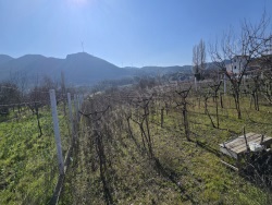 Selçuk Gökçealan Mah. Satılık Tarla 329 M2