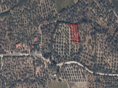 İzmir Selçuk Burgaz Köyünde Satılık Arazi 1221 M² … Gökçealan Mah