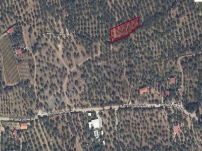 İzmir Selçuk Gökçealan Köyünde Satılık Arazi 1322 M² … Mah