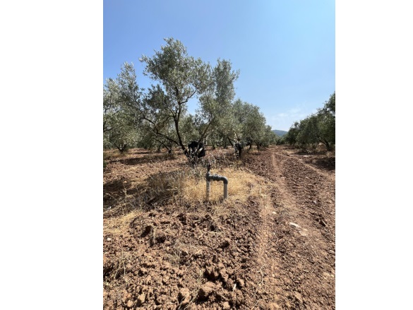 Büyükbelen Mah. Saruhanlı Satılık Tarla |  8652M2 3.480.000Tl Resim-2