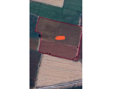 Üçpınar Büyük Arpacık Mevkii 4421 M2 Satılık Bağ Yunusemre Mah