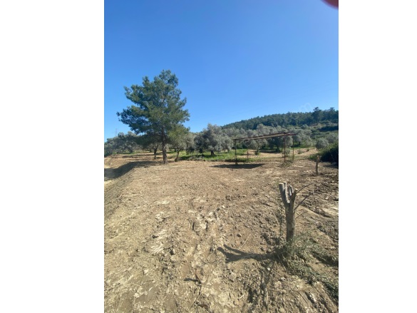 Alatepe Mah. Milas Satılık Tarla |  422M2 975.000Tl İmarlı  Resim-5