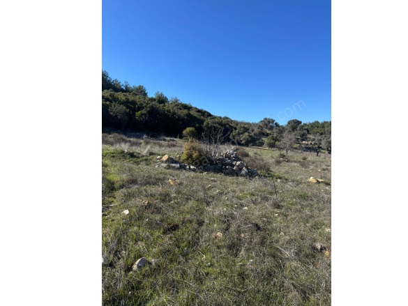 Dağpınar Mah. Menteşe Satılık Tarla |  3012M2 1.350.000Tl İmarlı  Resim-2